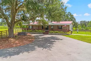 41534 Thomas Boat Landing Rd, Umatilla, FL 32784 - Photo 1