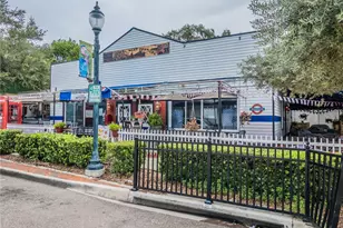 322 N Alexander St, Mount Dora, FL 32757 - Photo 1