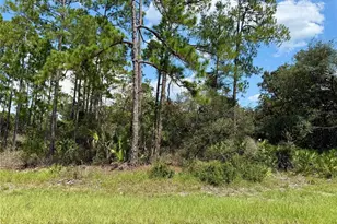Lot 20 Balsam St, Eustis, FL 32736 - Photo 1