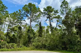 Lot 3 Tamarac St, Eustis, FL 32736 - Photo 1