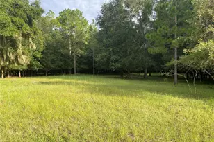 Cr 466, Oxford, FL 34484 - Photo 1