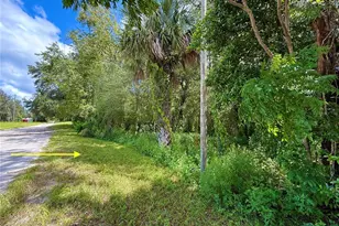 Lot 1 Palm Dr, Eustis, FL 32736 - Photo 1