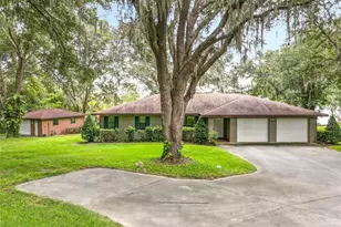 18132 Tuckaway Ln, Umatilla, FL 32784 - Photo 1