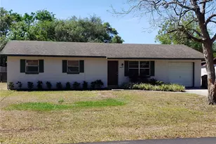 10024 Shademoor Dr, Leesburg, FL 34788 - Photo 1