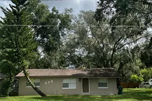 340 S Simpson St, Mount Dora, FL 32757 - Photo 1