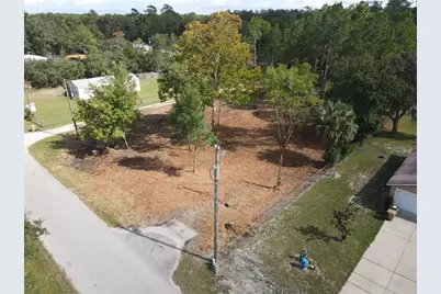 28802 Hibiscus Avenue, Paisley, FL 32767 - Photo 1