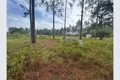 Tulip Avenue, Eustis, FL 32736 - Photo 1