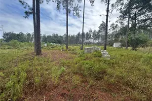Tulip Ave, Eustis, FL 32736 - Photo 1