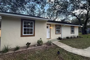 40233 Palm St, Lady Lake, FL 32159 - Photo 1