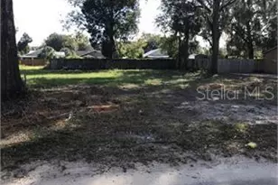 Powell St, Wildwood, FL 34785 - Photo 1