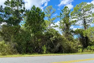 Lot 11 Royal Trails Rd, Eustis, FL 32736 - Photo 1