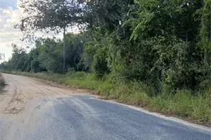 Ott Williams & Cty Rd 561 Rd, Clermont, FL 34714 - Photo 1