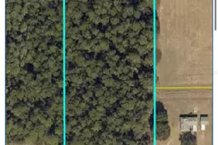 0 County Road 466, Oxford, FL 34484 - Photo 1
