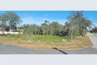 000 SE 88th Avenue, Summerfield, FL 34491 - Photo 1