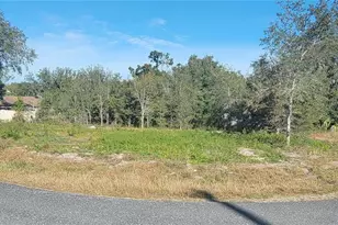 000 SE 88th Ave, Summerfield, FL 34491 - Photo 1