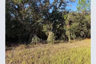 3238 N Sheriff Drive, Beverly Hills, FL 34465 - Photo 1