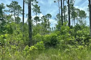 116 SW 1st Ave, Palatka, FL 32177 - Photo 1