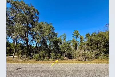 Lot 11 Tulip Avenue, Eustis, FL 32736 - Photo 1