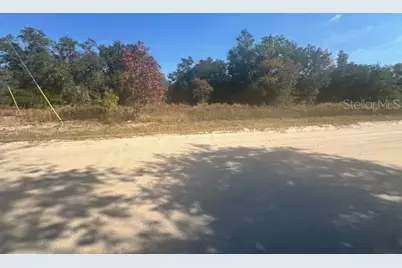 Tbd SW 146 Court, Ocala, FL 34481 - Photo 1