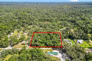 Tbd SW 43rd, Webster, FL 33597 - Photo 1