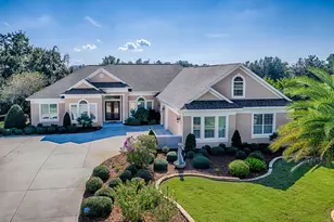 1687 Wading Heron Way, The Villages, FL 32163 - Photo 1