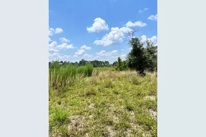 Steward Road, Eustis, FL 32726 - Photo 1