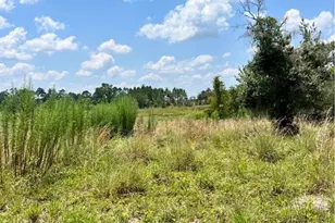 Steward Rd, Eustis, FL 32726 - Photo 1