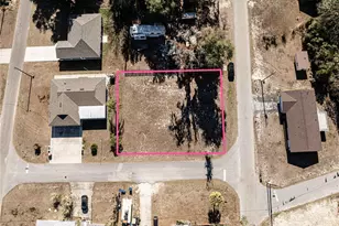 000 Cr 446, Lake Panasoffkee, FL 33538 - Photo 1