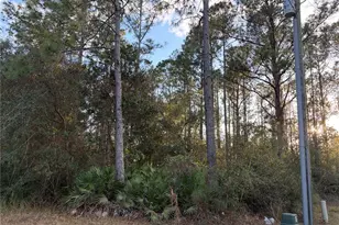 Oil Well Rd, Clermont, FL 34714 - Photo 1