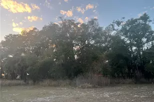 522 Palmetto St, Eustis, FL 32726 - Photo 1