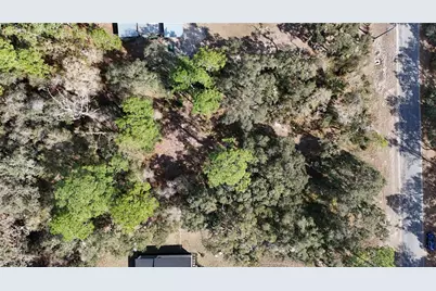 30553 Saffron Avenue, Eustis, FL 32736 - Photo 1