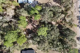 30553 Saffron Ave, Eustis, FL 32736 - Photo 1