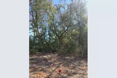 Tbd SE 161st Street, Summerfield, FL 34491 - Photo 1