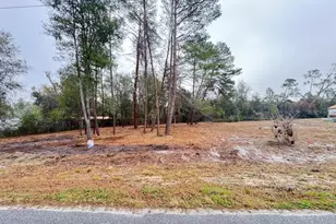 Palm St, Paisley, FL 32767 - Photo 1