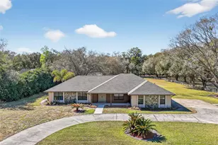 32239 Wolf Branch Ln, Sorrento, FL 32776 - Photo 1