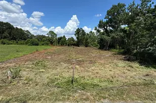 Cove Rd, Tavares, FL 32778 - Photo 1