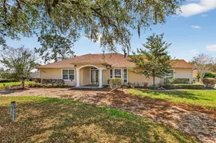 39125 Tacoma Dr, Lady Lake, FL 32159 - Photo 1