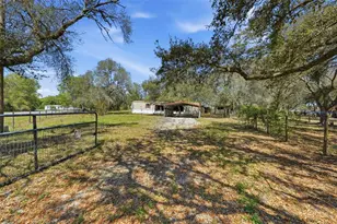 31621 S Lake Dr, Eustis, FL 32736 - Photo 1