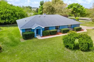 12130 Nest Ct, Grand Island, FL 32735 - Photo 1
