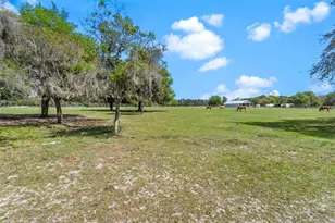 Winterwillow Ln, Eustis, FL 32736 - Photo 1