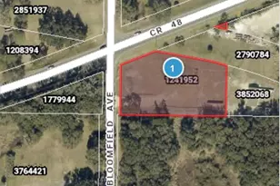 County Road 48, Yalaha, FL 34797 - Photo 1
