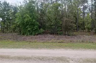 0 71st Ln, Ocala, FL 34481 - Photo 1