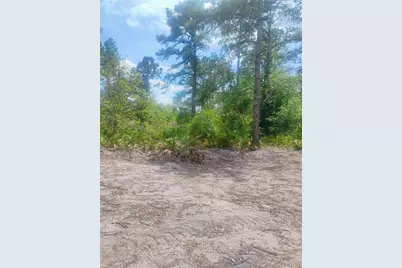 Park Forest Boulevard, Mount Dora, FL 32757 - Photo 1