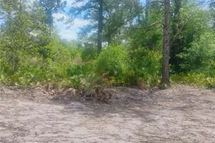Park Forest Blvd, Mount Dora, FL 32757 - Photo 1