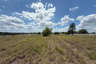 6115 Ranch Lake Rd, Groveland, FL 34736 - Photo 1