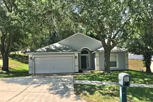 989 Scenic View Cir, Minneola, FL 34715 - Photo 1