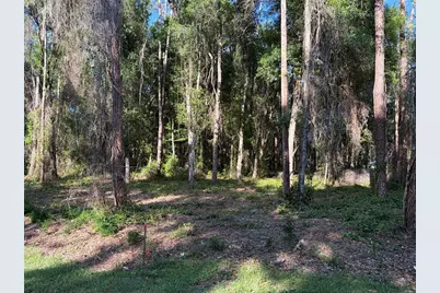 9192 Cr 647Cs, Bushnell, FL 33513 - Photo 1