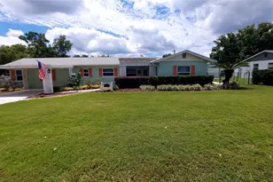 2136 Sylvan Point Dr, Mount Dora, FL 32757 - Photo 1