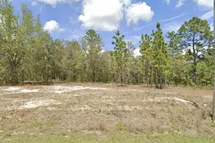 1907 W Corrine St, Dunnellon, FL 34434 - Photo 1
