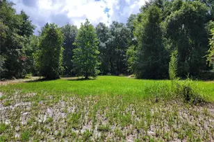 0 SE 464C Hwy, Ocklawaha, FL 32179 - Photo 1